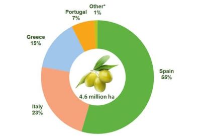 Dünyada ve Türkiye'de Zeytin ve Zeytinyağı Üretimi ve Ticareti