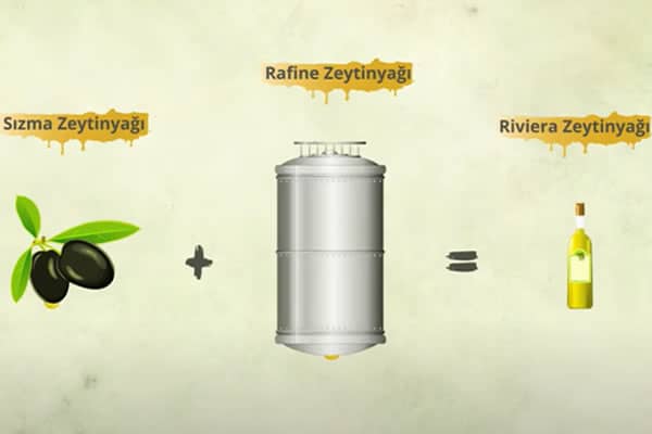 Zeytin Üretimi, Sızma ve Riviera Zeytinyağının Farkı Nedir ?